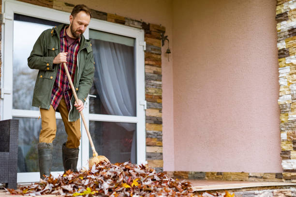 Best Junk Removal Near Me  in Dumfries, VA